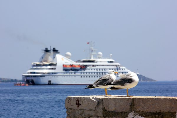 Sali - photo 8