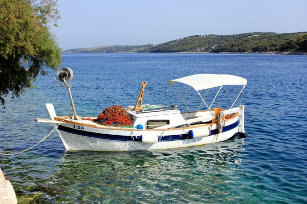 Sali - photo 9