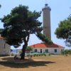 Soline - photo 10