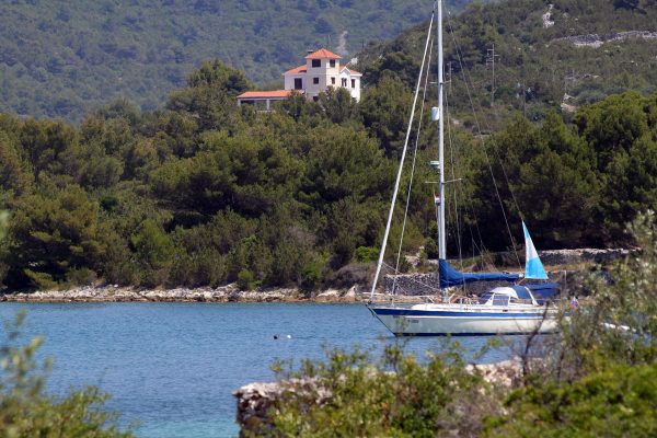 Soline - photo 6