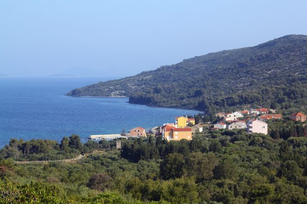 Soline - photo 7