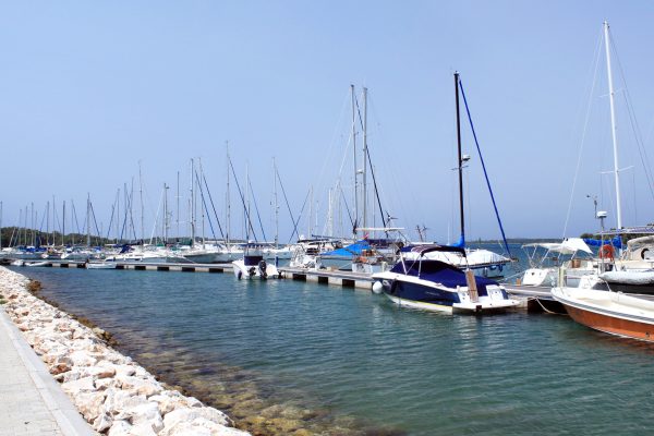 Veli Rat - photo 13