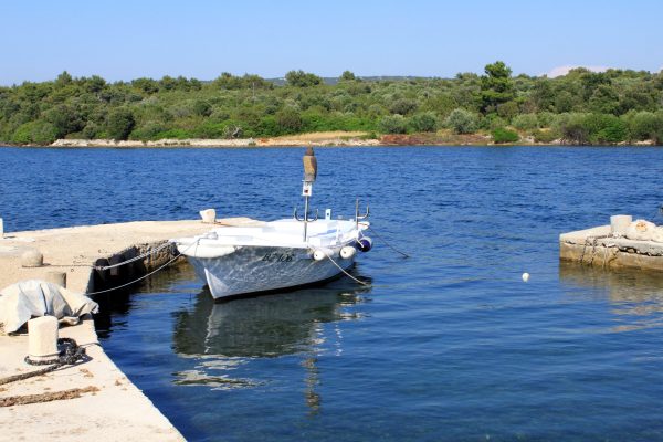 Veli Rat - photo 14
