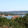 Veli Rat - photo 20