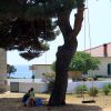 Veli Rat - photo 21