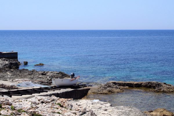 Veli Rat - photo 22