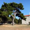 Veli Rat - photo 6