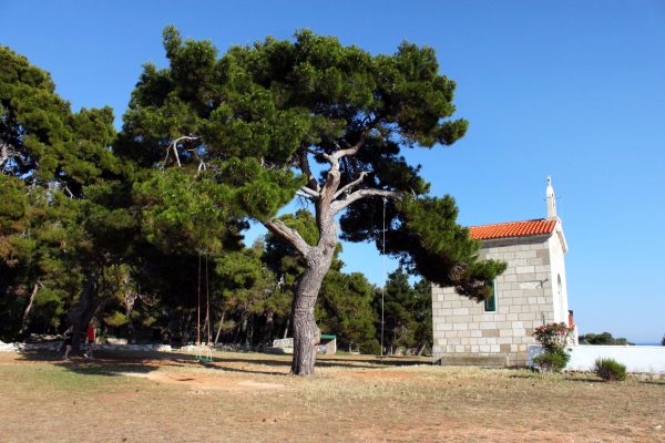 Veli Rat - photo 6