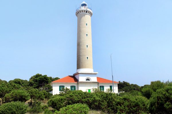 Veli Rat - photo 7