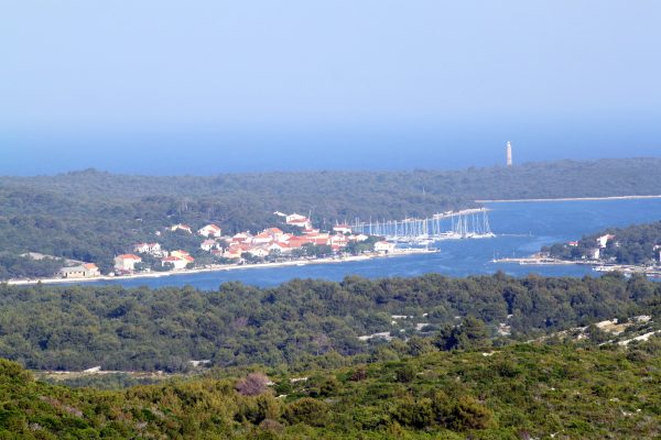 Veli Rat - photo 9