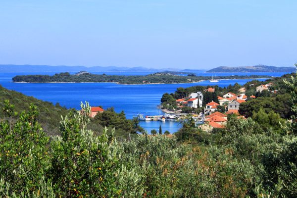 Žman