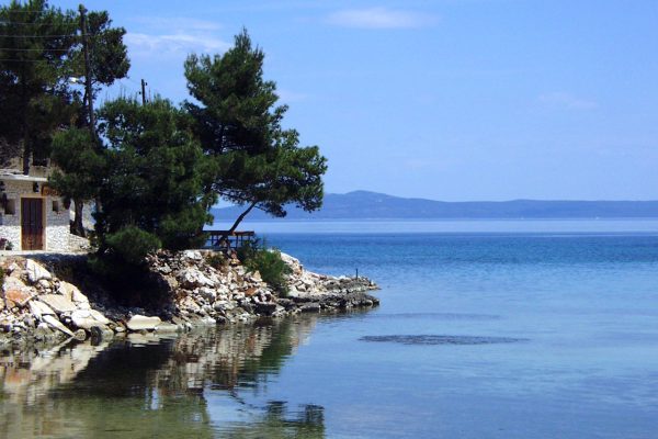 Žman - photo 17