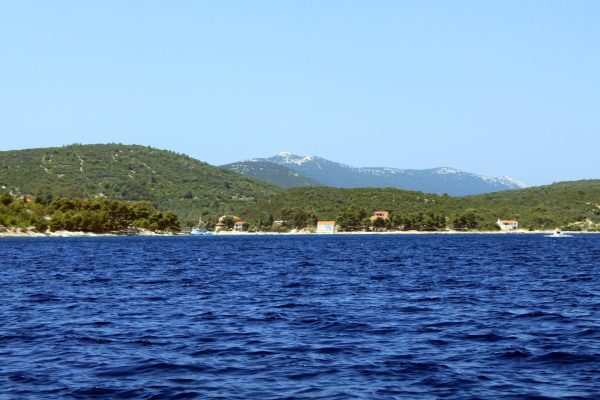 Žman - photo 20
