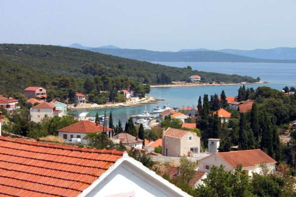 Žman - photo 3