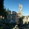 Koločep - photo 11