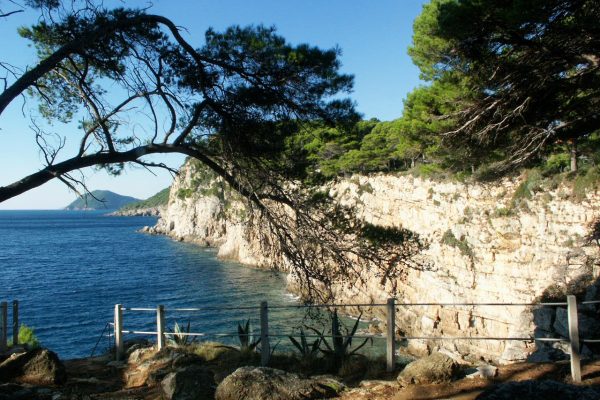 Koločep - photo 12