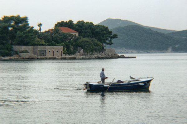 Koločep - photo 15