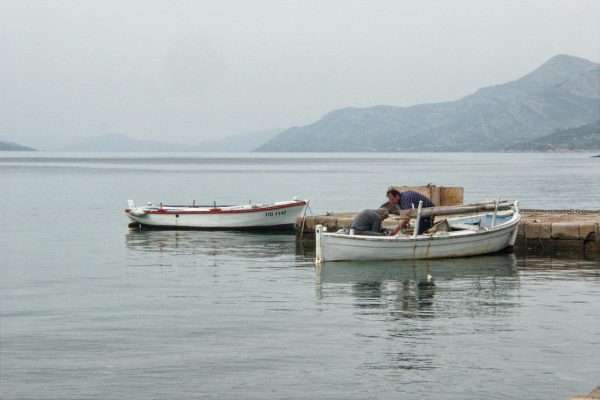Koločep - photo 16