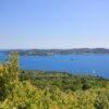Koločep - photo 21