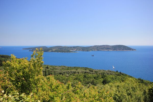 Koločep - photo 21