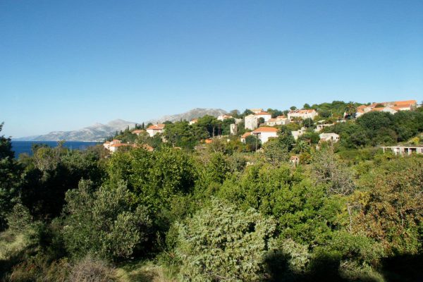 Koločep - photo 4