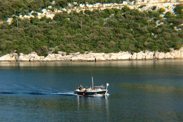 Suđurađ - photo 16