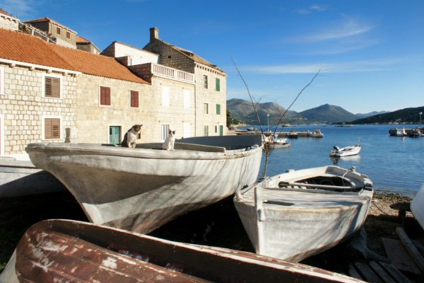 Suđurađ - photo 6