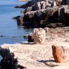 Basina - photo 11