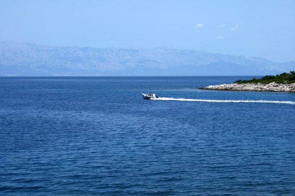 Basina - photo 13