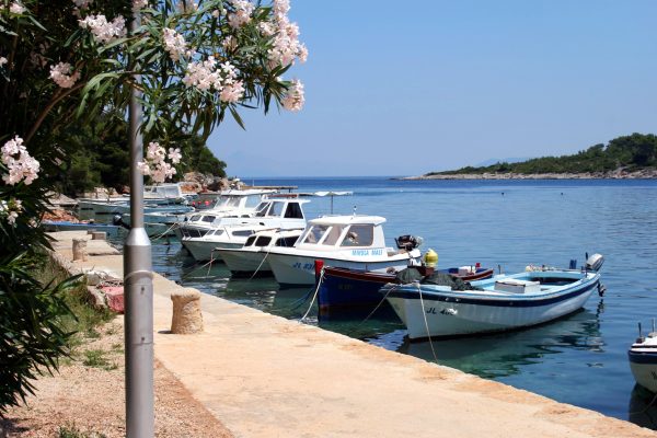 Basina - photo 6
