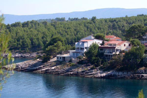 Basina - photo 7