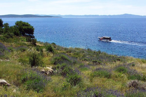 Bojanić Bad - photo 7