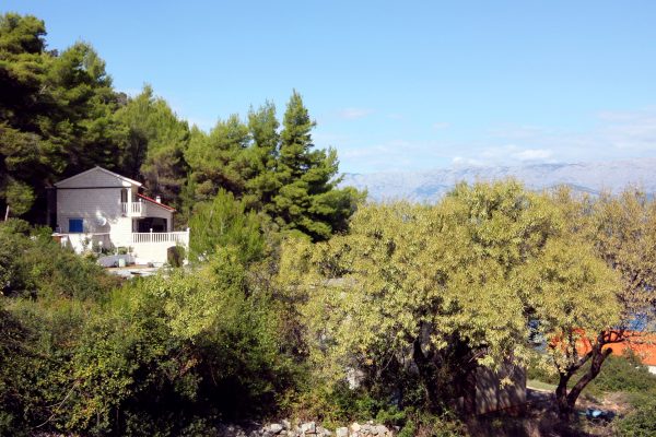 Bristova - photo 3
