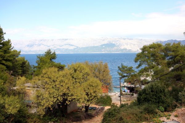Bristova - photo 4