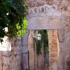 Hvar - photo 16
