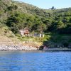 Divja - photo 1