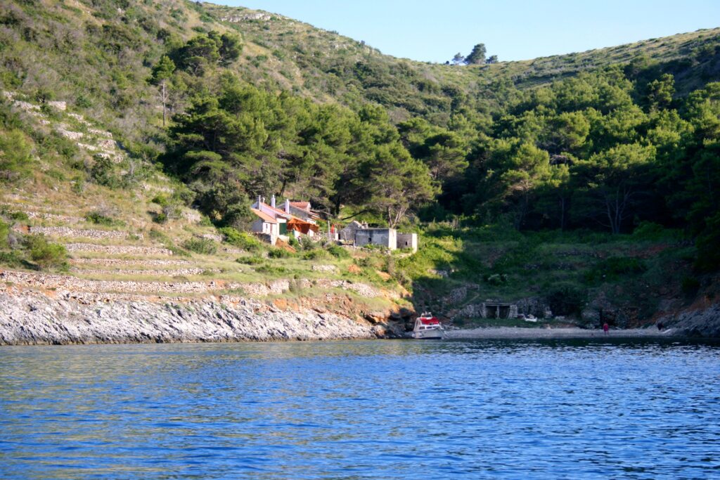 Dalmatia Hvar Divja Croatia