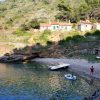 Divja - photo 3