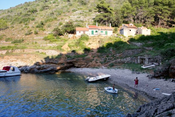 Divja - photo 3