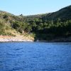 Divja - photo 4