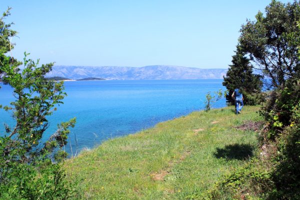 Grebišće - photo 4