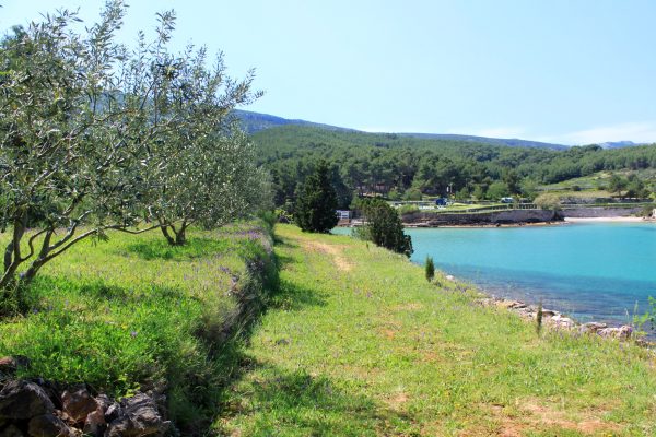Grebišće - photo 5