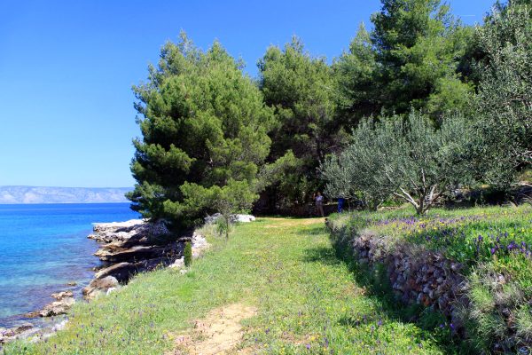 Grebišće - photo 8