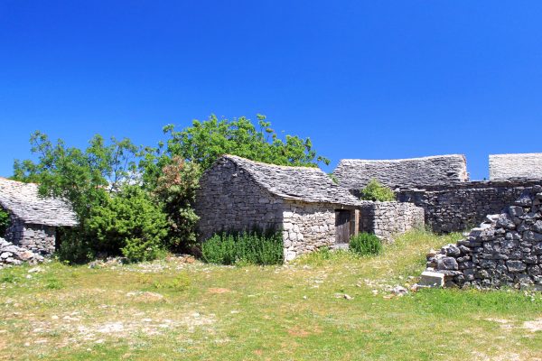 Humac - photo 5