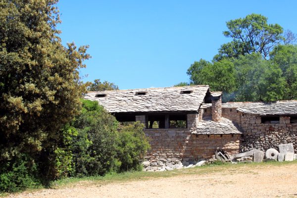 Humac - photo 6