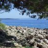 Ivan Dolac - photo 6