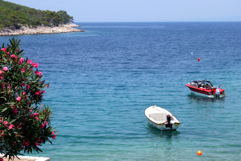 Dalmatia Hvar Jagodna Brusje Croatia