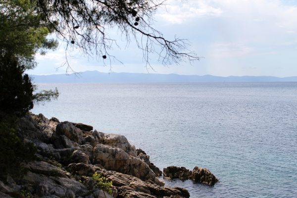 Jedra - photo 8