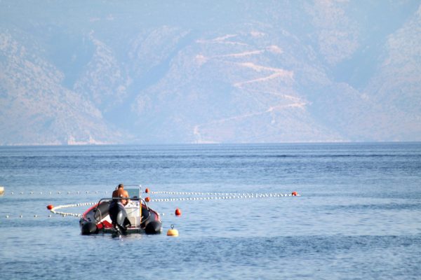 Jelsa - photo 22