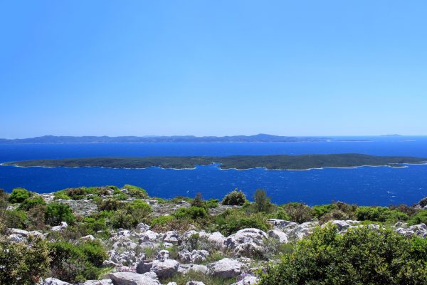 Karkavac – Šćedro - photo 13